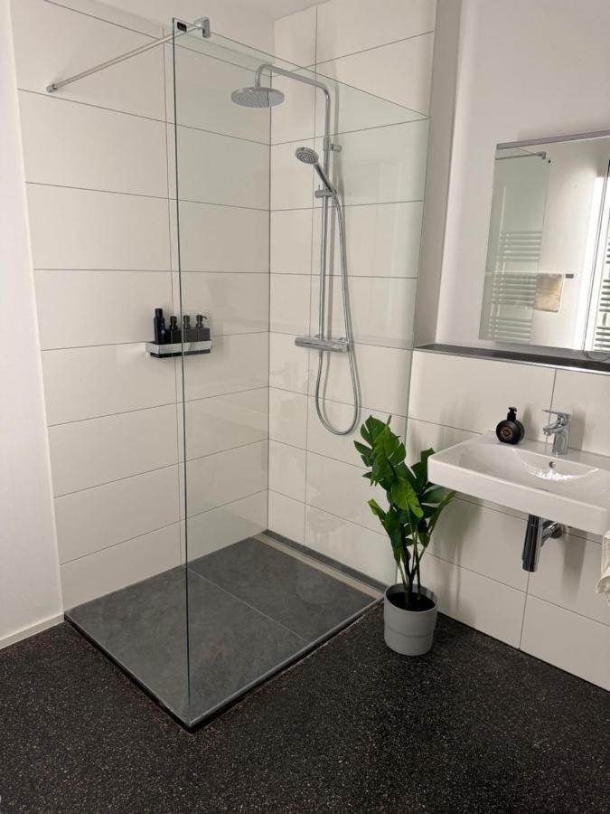Isaak Appartment Stadtjuwel Waldshut-Tiengen Eksteriør billede
