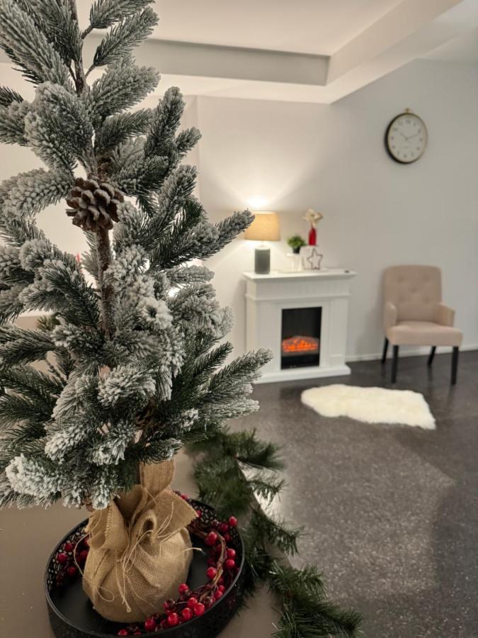 Isaak Appartment Stadtjuwel Waldshut-Tiengen Eksteriør billede